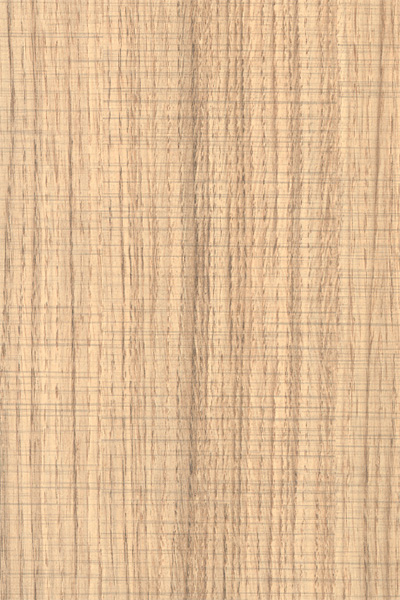 4401 ورق ام دی اف پاک چوب 4401