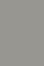 ماتوپلاس Timeless Grey 3017 / AGT