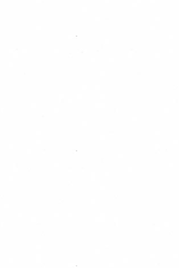 D-047-2 استارون hanex / D047