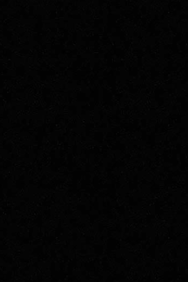 P-005-2 استارون hanex / P005