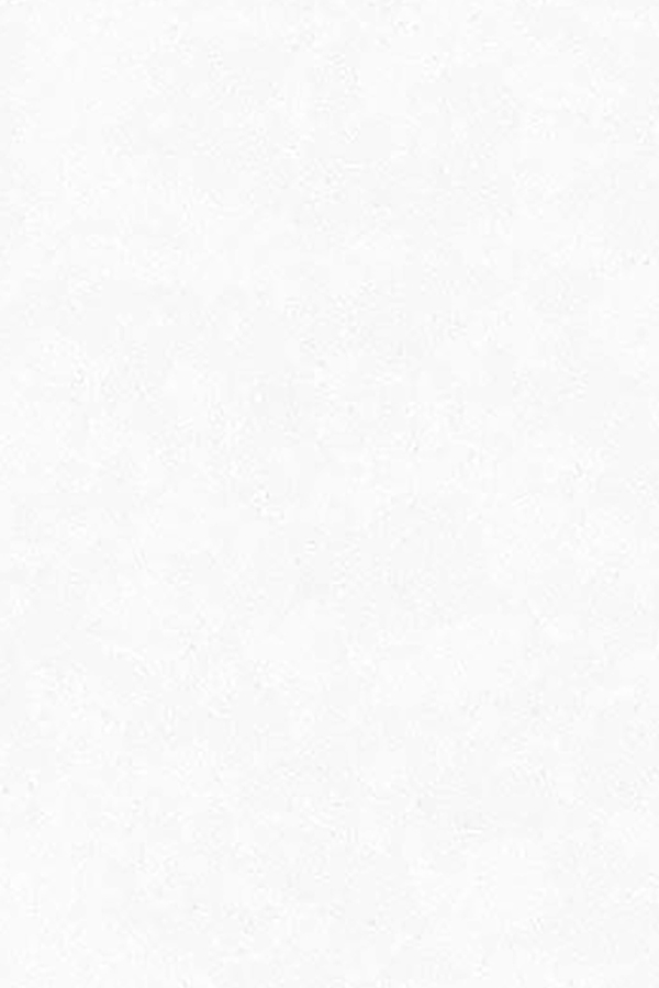 T-021-2 استارون hanex / T021